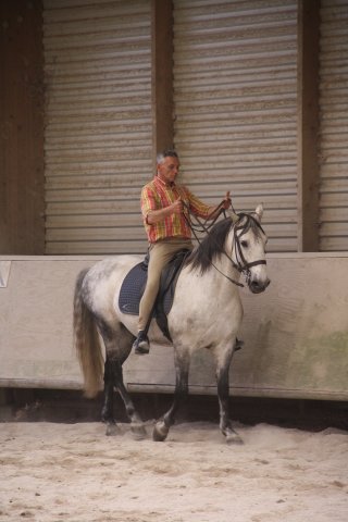 SOLTEIRO
